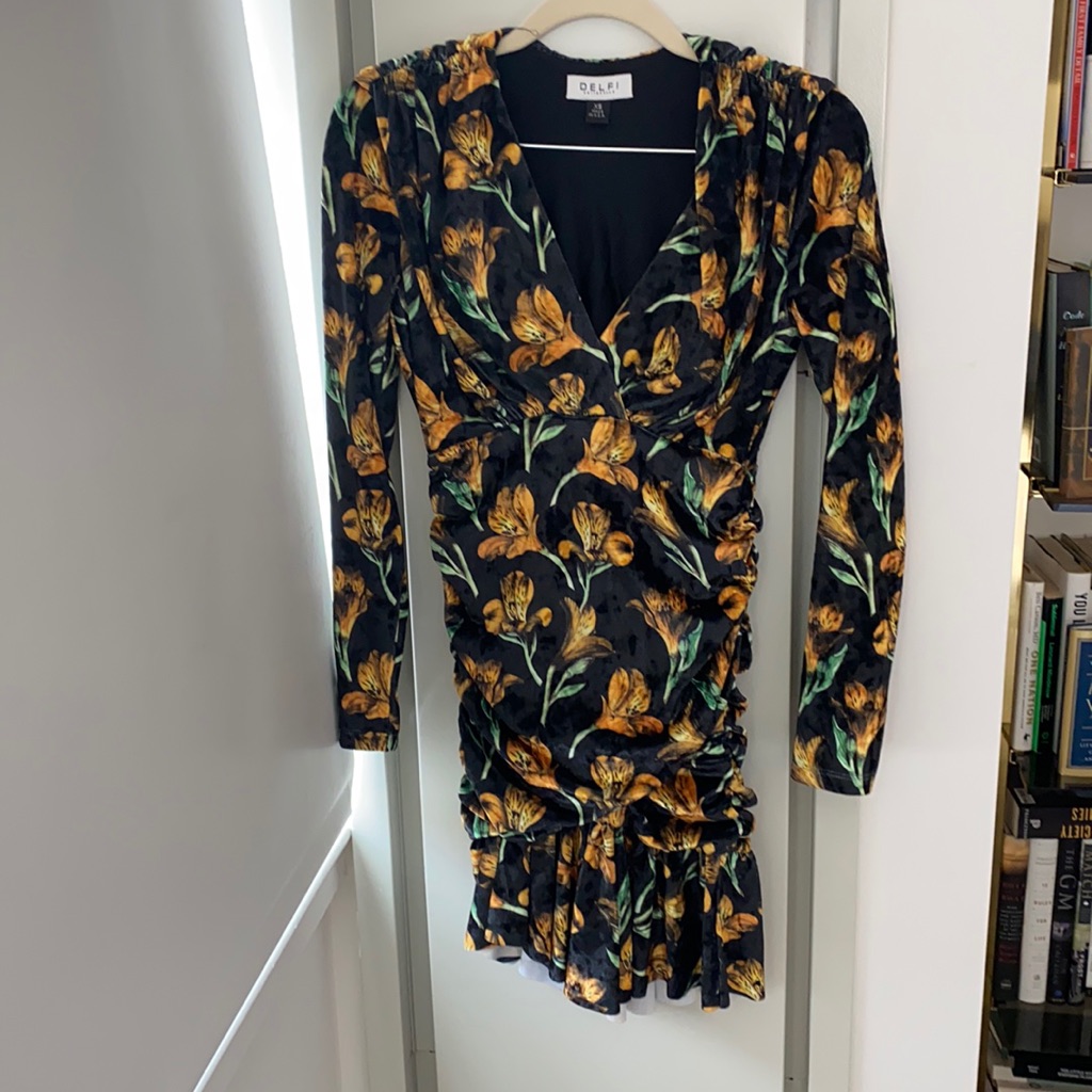Delfi Collective Velvet Mini Dress